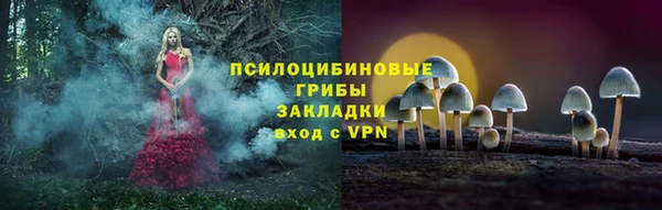 соль курить ск Михайлов