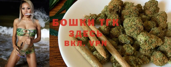 дживик Михайловск