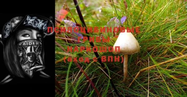 ешки Михайловка